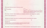 Лечебно-профилактическое учреждение Новая Клиника